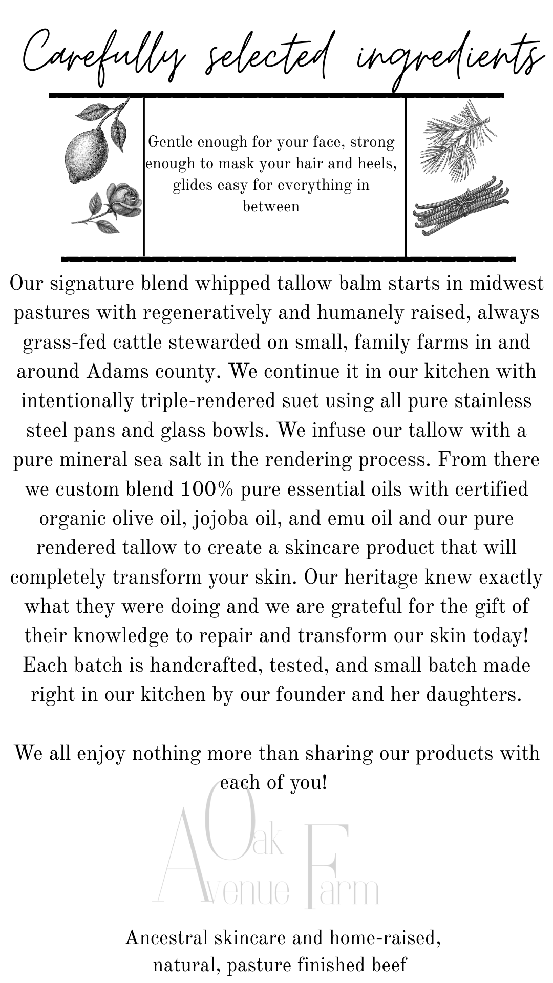 Iced Lemon Pound Cake Whipped Tallow Balm-4 Ounce